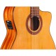 Cordoba Iberia Series Nylon-String Thinbody Acoustic/Electric Guitar