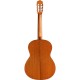 Cordoba C5 SP Nylon-String Acoustic Guitar (Gloss)