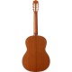 Cordoba Iberia Series Nylon-String Classical Guitar (High Gloss)
