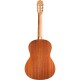 Cordoba Protégé Matiz Classical Nylon Acoustic Guitar (Aqua)